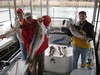 (10/24/2015) - Nice Striped Bass